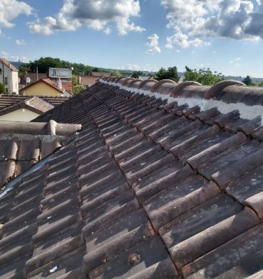 Démoussage à réaliser à Nerville-la-Fôret 95